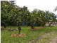146 Arnolds Road, Byfield QLD 4703