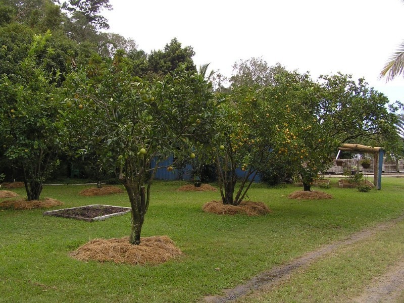 146 Arnolds Road, Byfield QLD 4703