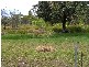146 Arnolds Road, Byfield QLD 4703