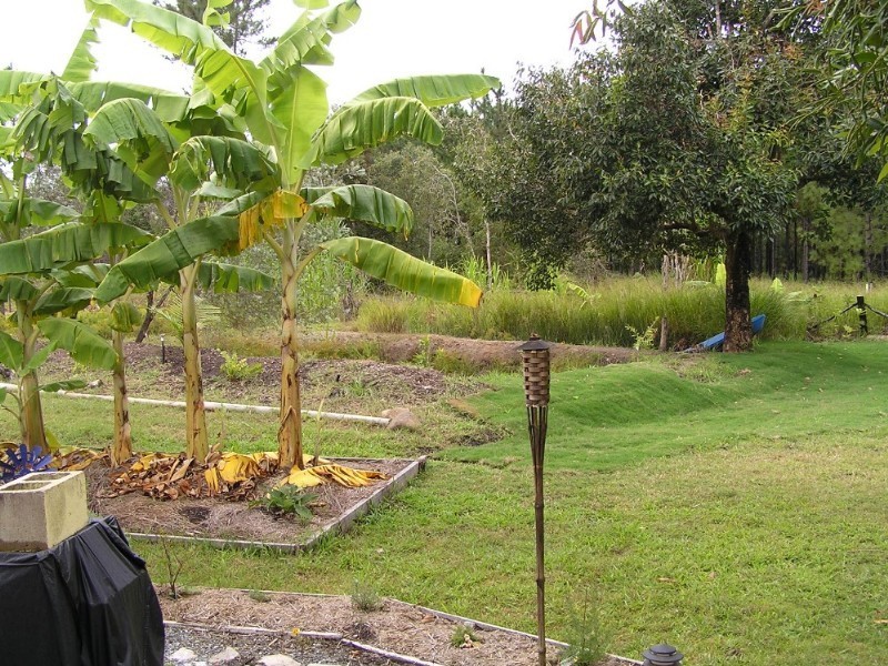 146 Arnolds Road, Byfield QLD 4703