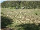 586 Cawarral Road, Yeppoon QLD 4703