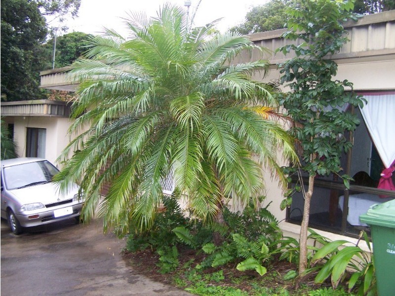 3/12 Lamberton Street, Yeppoon QLD 4703