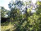 84 Paradigm Road, Yeppoon QLD 4703