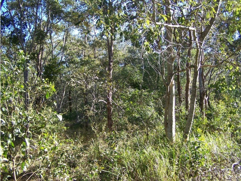 84 Paradigm Road, Yeppoon QLD 4703