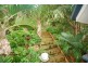 35 Cliff Street, Yeppoon QLD 4703