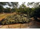 214 Hidden Valley Road, Yeppoon QLD 4703