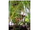 Yeppoon QLD 4703