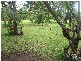 529 Limestone Creek Road, Yeppoon QLD 4703