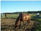 206 Daly Creek Road, Yeppoon QLD 4703