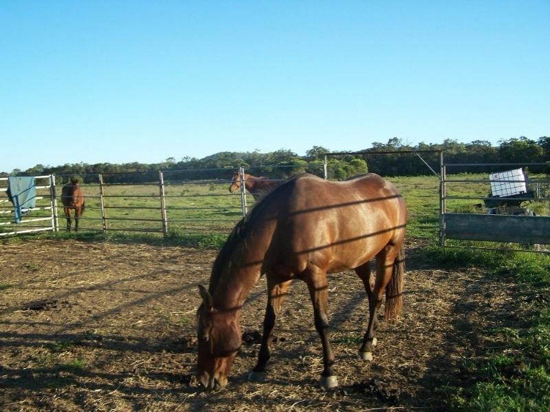 206 Daly Creek Road, Yeppoon QLD 4703