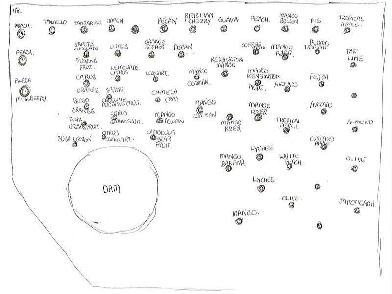 15 Spowart Road, Yeppoon QLD 4703