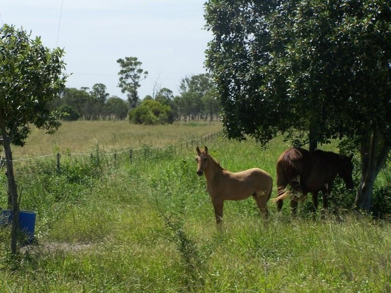 656 Lake Mary Road, Yeppoon QLD 4703