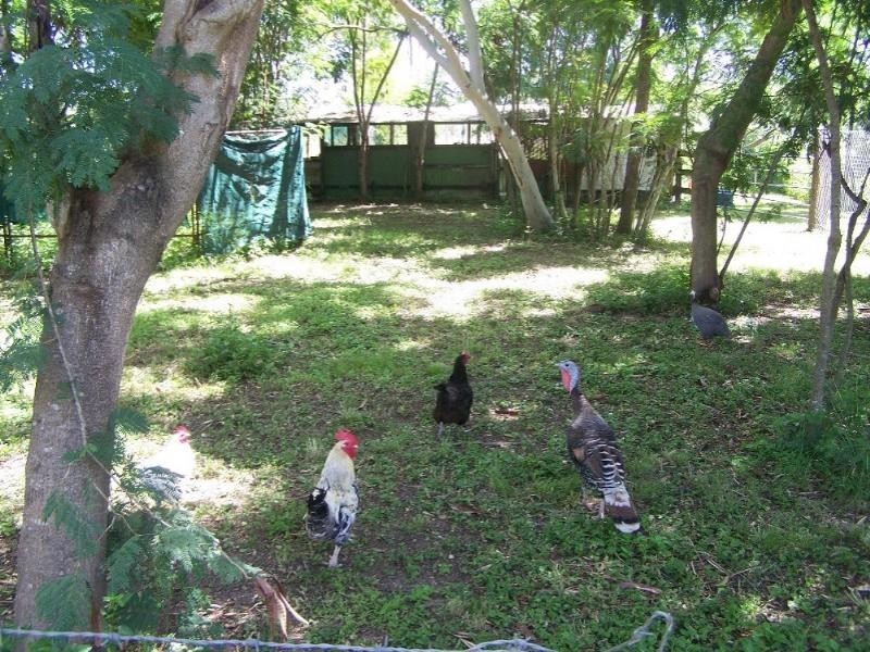 656 Lake Mary Road, Yeppoon QLD 4703