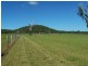 155 Byfield Road, Yeppoon QLD 4703