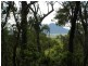 58 Ewing Road, Yeppoon QLD 4703