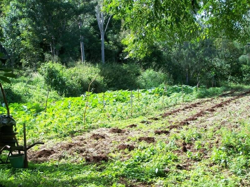 190 Mt Rae Road, Yeppoon QLD 4703