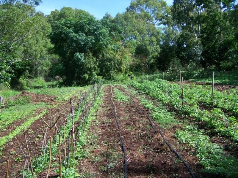 190 Mt Rae Road, Yeppoon QLD 4703