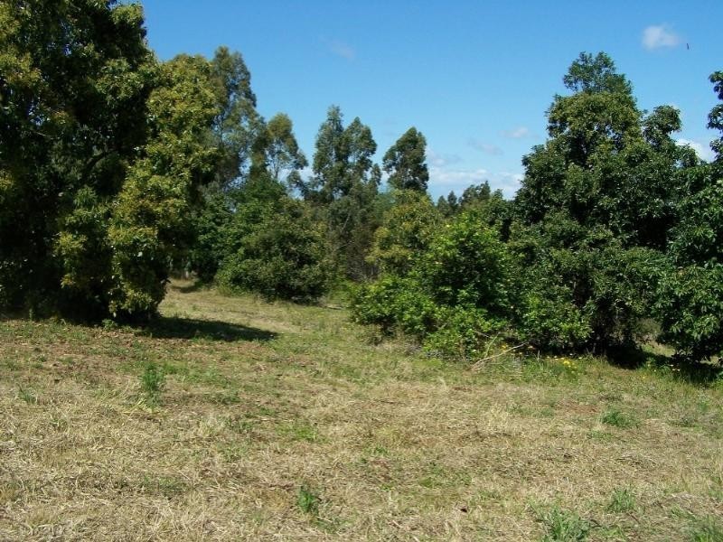 190 Mt Rae Road, Yeppoon QLD 4703