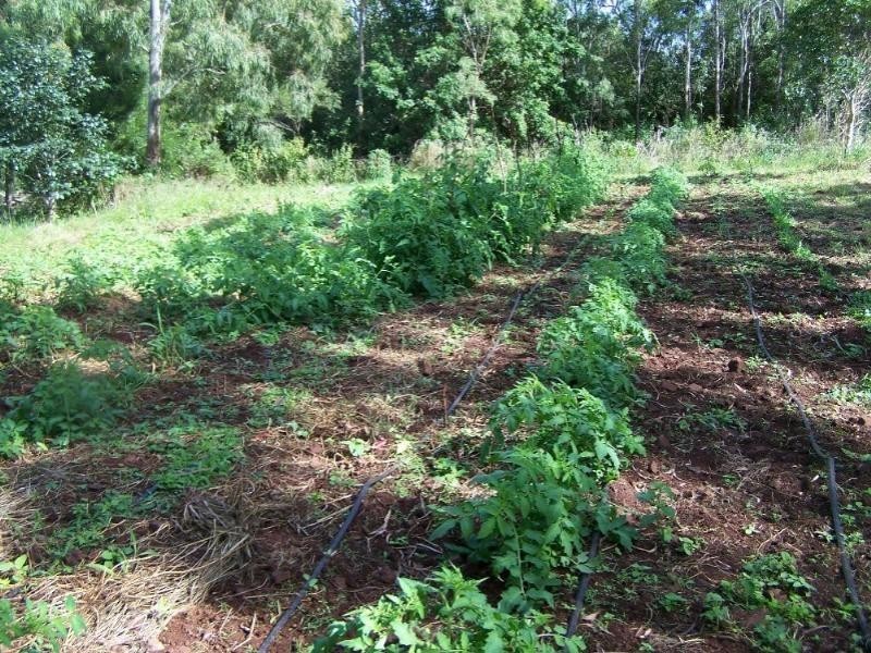 190 Mt Rae Road, Yeppoon QLD 4703