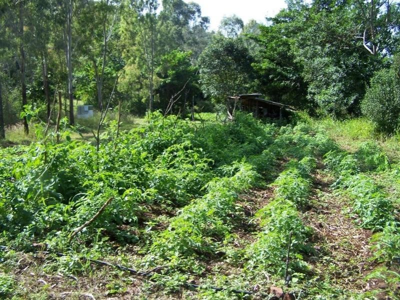 190 Mt Rae Road, Yeppoon QLD 4703