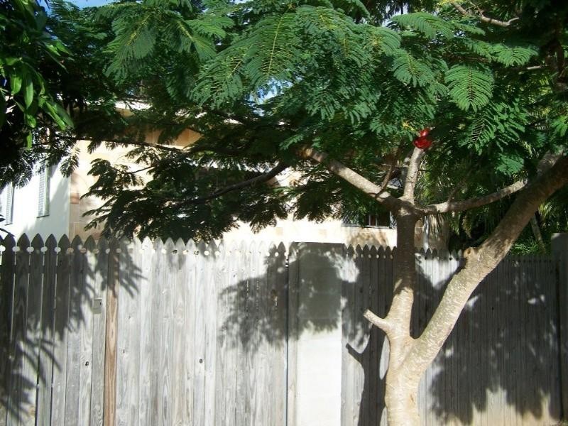 9 Birdwood Avenue, Yeppoon QLD 4703