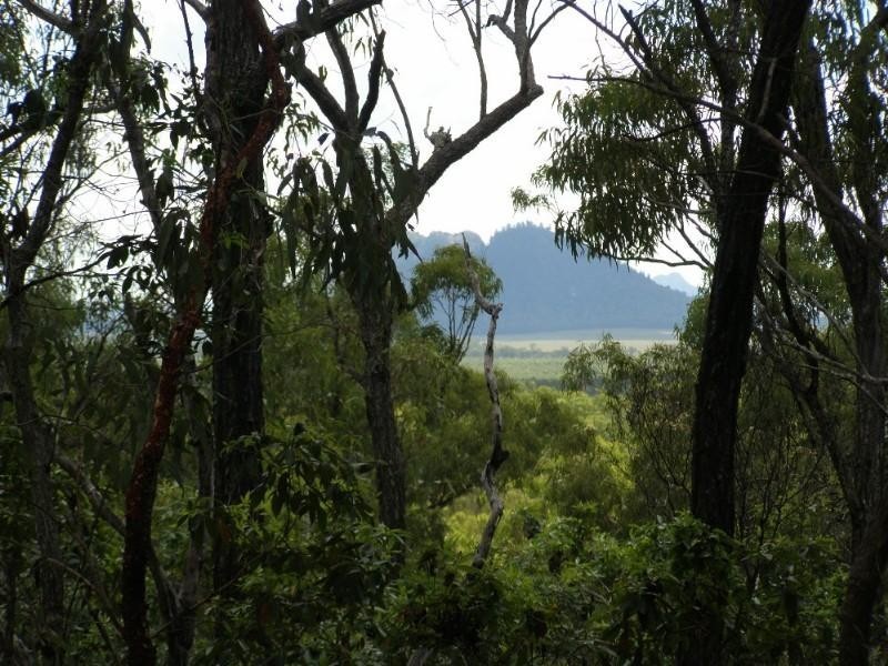 58 Ewing Road, Cawarral QLD 4702