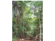 221 Yaxleys Road, Byfield QLD 4703