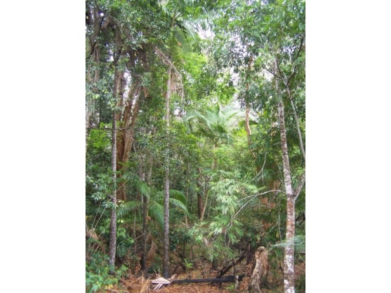 221 Yaxleys Road, Byfield QLD 4703