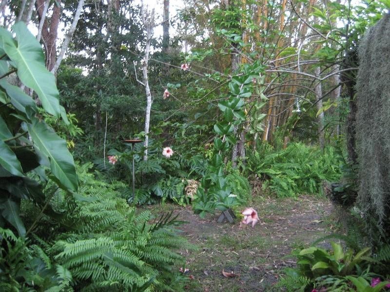 220 Yaxleys Road, Byfield QLD 4703