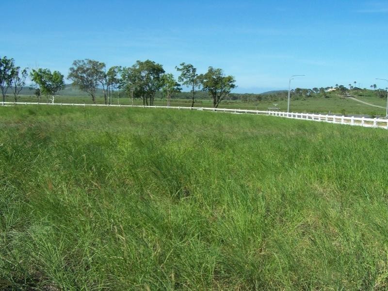 2 Hitching Rail Drive, Yeppoon QLD 4703