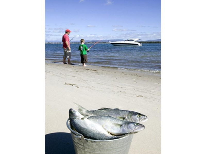 53 Lakeview Circuit, Yeppoon QLD 4703