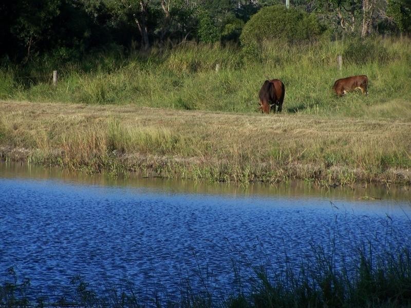 635 Adelaide Park Road, Yeppoon QLD 4703