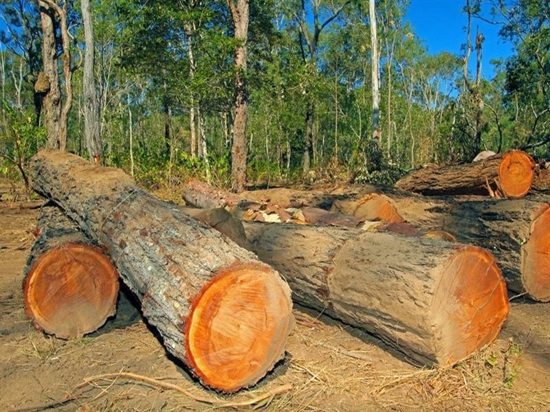 330 Cobraball Road, Yeppoon QLD 4703