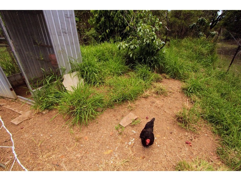 55 Emu Parade, Yeppoon QLD 4703