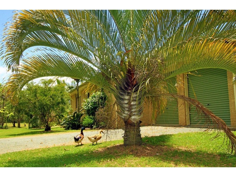 55 Emu Parade, Yeppoon QLD 4703