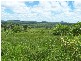 430 Lake Mary Road, Yeppoon QLD 4703