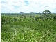 430 Lake Mary Road, Yeppoon QLD 4703