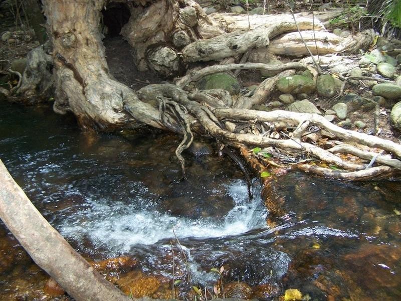 2386 Byfield Road, Byfield QLD 4703