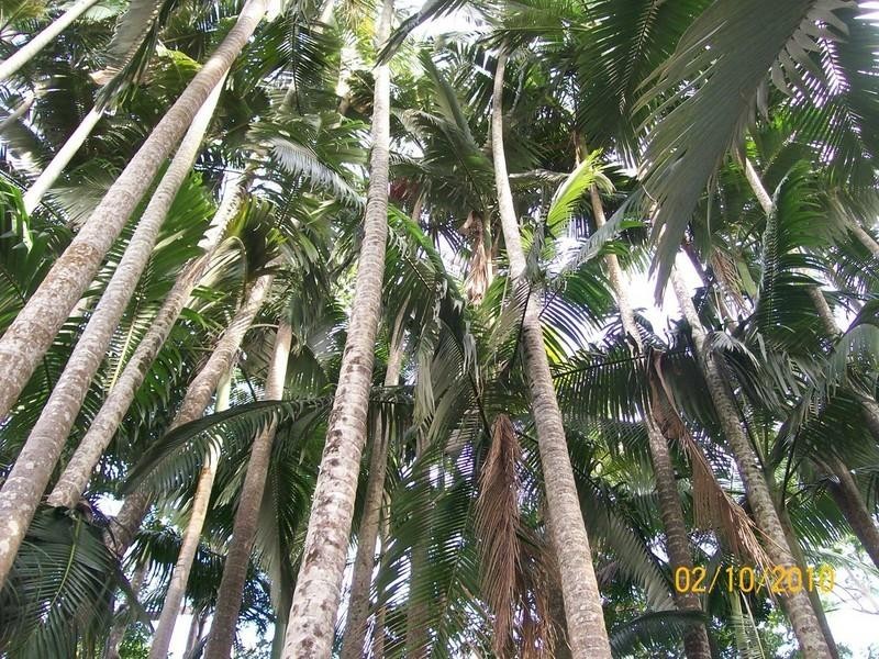 34 Cahills Road, Byfield QLD 4703