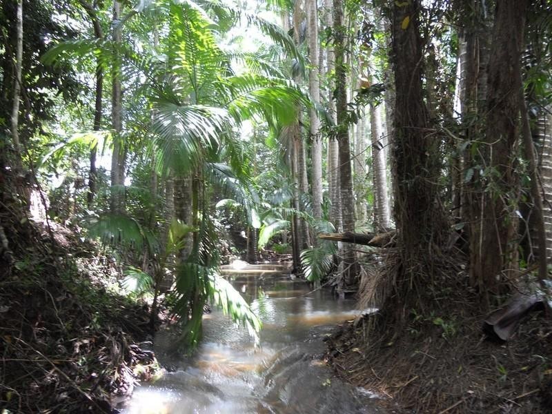 34 Cahills Road, Byfield QLD 4703