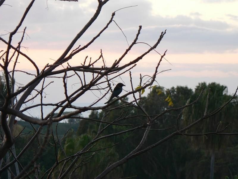 Lot 70 Macaulay Way, Yeppoon QLD 4703