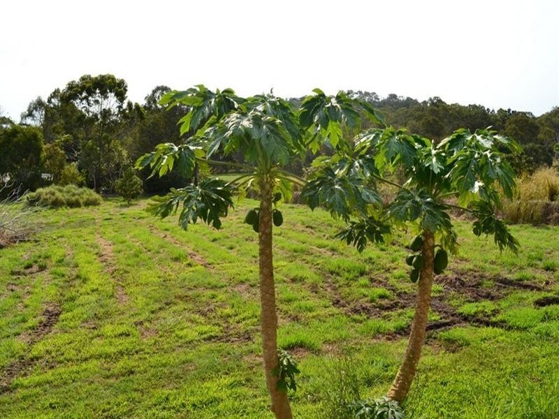 430 Woodbury Road, Yeppoon QLD 4703