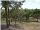 123 Norpine Road, Yeppoon QLD 4703