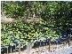 214 Hidden Valley Road, Yeppoon QLD 4703