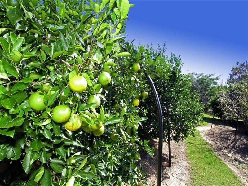 85 Norman Drive, Barmaryee QLD 4703