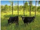 847 Keppel Sands Road, Coowonga QLD 4702