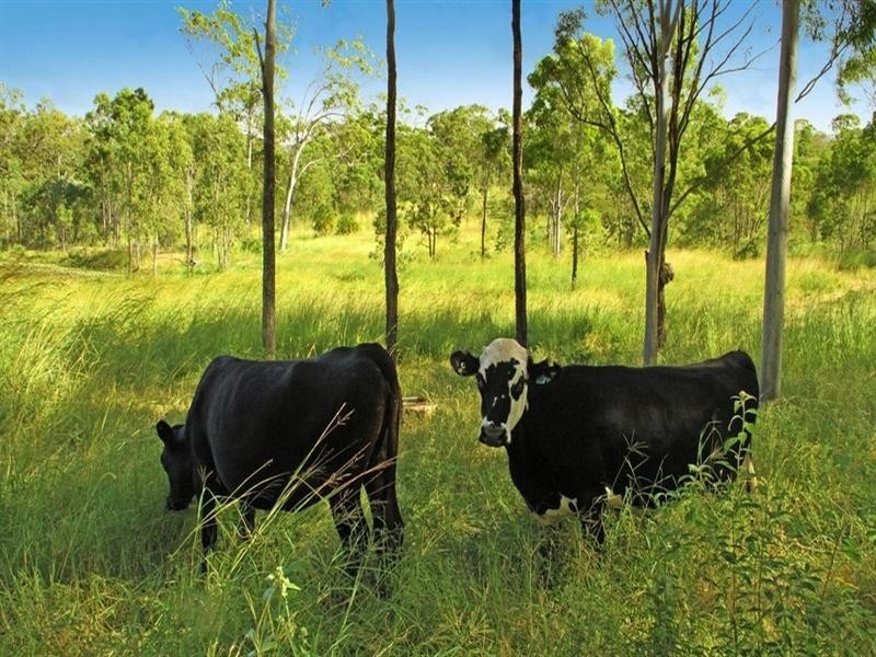 847 Keppel Sands Road, Coowonga QLD 4702