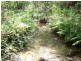 Lot 3 Crannys Road, Yeppoon QLD 4703