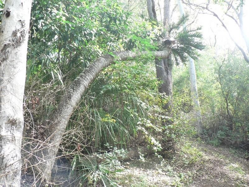 Lot 3 Crannys Road, Yeppoon QLD 4703