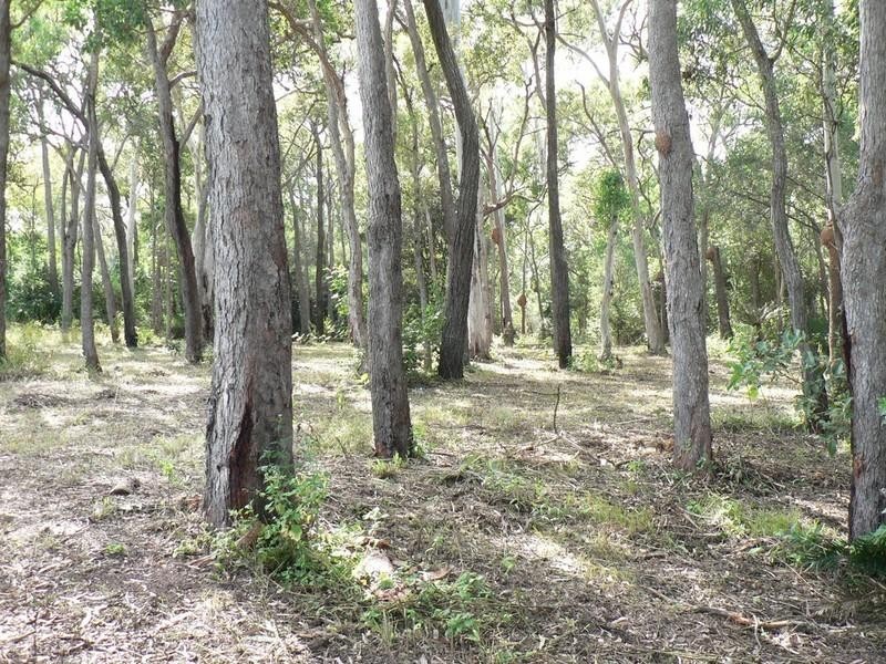 Lot 3 Crannys Road, Yeppoon QLD 4703
